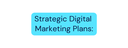 Strategic Digital Marketing Plans